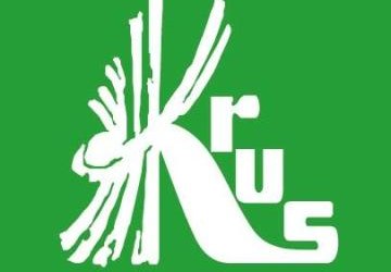 TURNUSY REHABILITACYJNE DLA DZIECI 2025