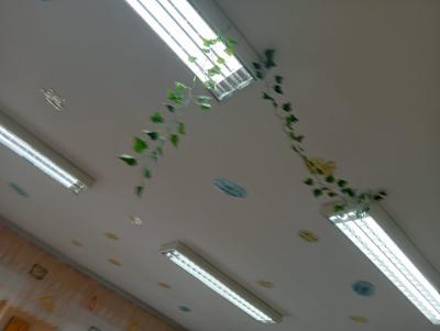 IMG-20250429-WA0008.jpg