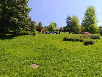 IMG_20250618_123052.jpg