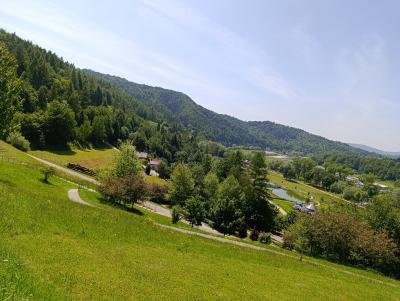 IMG_20250618_124710.jpg