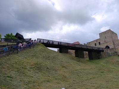IMG_20260617_101458.jpg