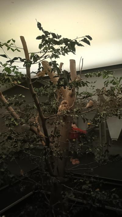 IMG_20260615_153049054_HDR.jpg