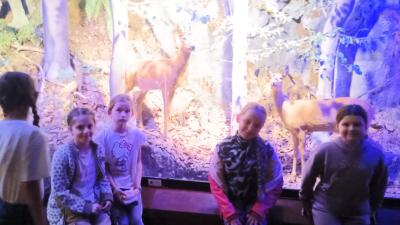 IMG_20260615_153341452.jpg