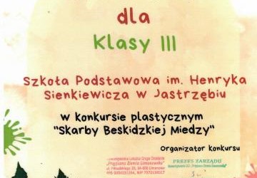 Skarby Beskidzkiej Miedzy