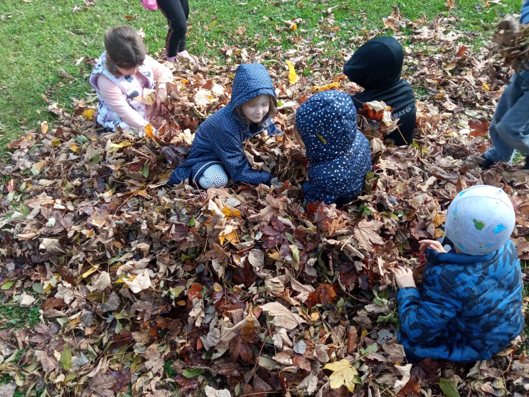 Jesienne zabawy na świeżym powietrzu🍁🍁🍁